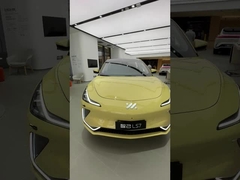 Luxus-Erwachsenen-Persönliche Hersteller IM Elektroauto IM LS7 Batterie Elektrofahrzeug Neuwagen