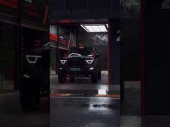 385Nm 185KW 252Ps 4WD 5 Sitz 5 Tür 2.0T Tank 400 SUV Benzin Brennstoff Neues Auto