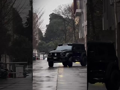 In gutem Zustand Neue Version 3.0T Tank 300 SUV 4WD Hybrid EV Benzin Neues Auto