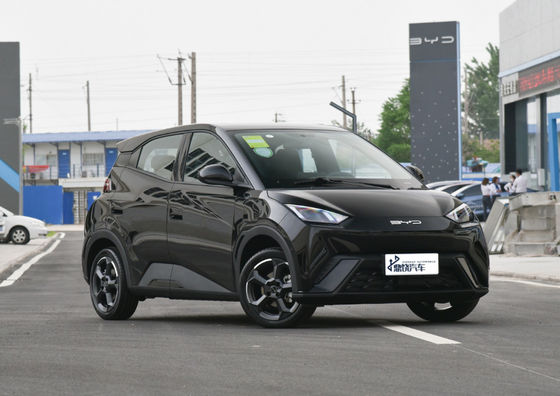 Chinesisch Komfortabel Sport Neue Energie Automatische Batterie BYD EV Auto Möwe Mini Neues Auto