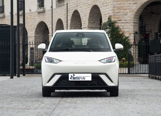 Personalisierbare Mode Personalisierter Hersteller Auto BYD EV Auto Möwe Auto