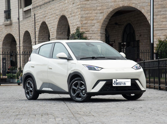 Guter Preis Wettbewerb Automobile Fabrik 2WD BYD EV Auto Möwe 4 Seater reines neues Energiefahrzeug Mini EV Auto