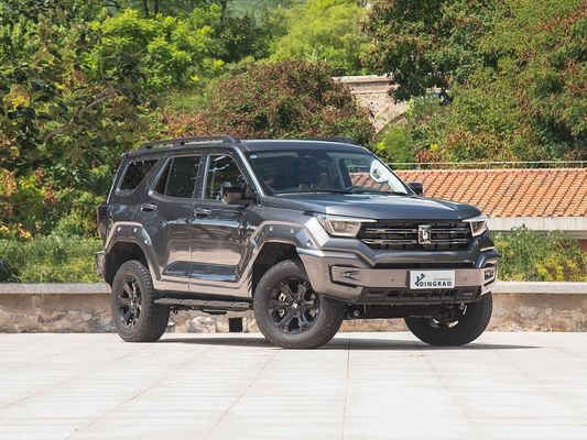 Export Luxus Made in China Wettbewerbsfähig 4WD Neue Energie Hybrid EV Brennstoff Neues Auto