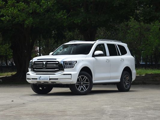 Konkurrenzfähiger 5 Sitz 5 Tür 3.0T Tank 500 SUV 500Nm 265KW 360Ps 4WD Neue Energie Hybrid EV Benzin Benzin Brennstoff Neues Auto
