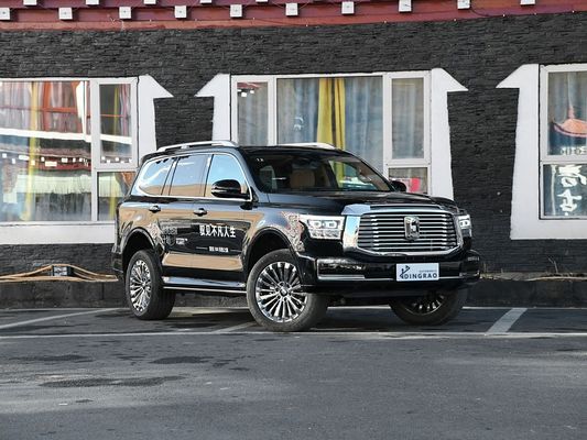 Export Luxus Made in China 5 Sitz 5 Tür 3.0T Tank 500 SUV Hybrid EV Gas Neues Auto